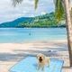 Pet Mat