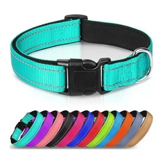 Kullar tal-klieb tan-najlon tad-dwana